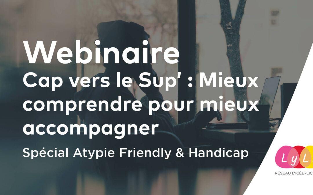 Accompagner des lycéens en situation de handicap vers le supérieur